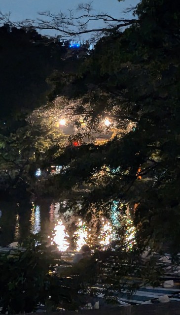 f:id:kimura_i_i_h:20241027221431j:image f:id:kimura_i_i_h:20241027221431j:image
