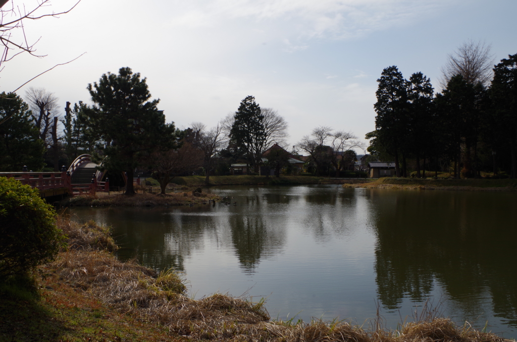 f:id:kimuradesuga:20170119145726j:plain