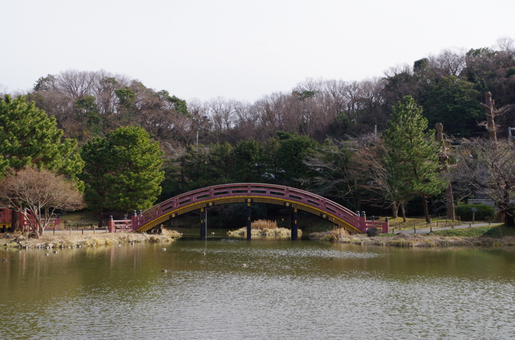 f:id:kimuradesuga:20170119145732j:plain