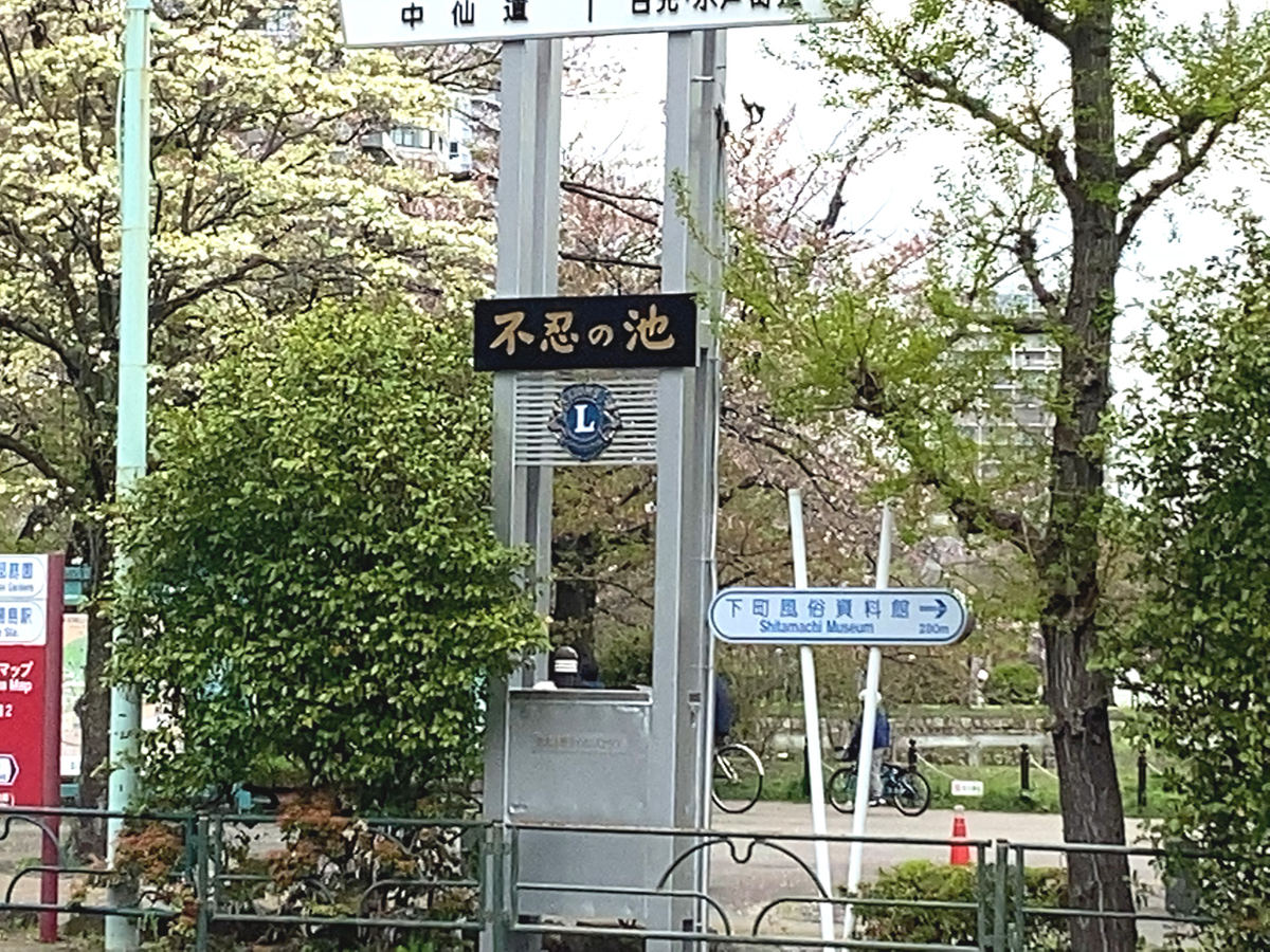 f:id:kimuyuki1960:20210403204409j:plain
