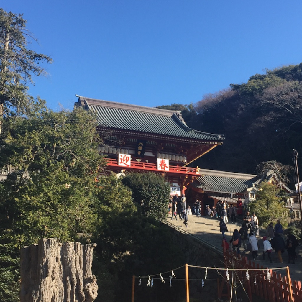f:id:kinaco68:20160110113825j:image f:id:kinaco68:20160110113825j:image