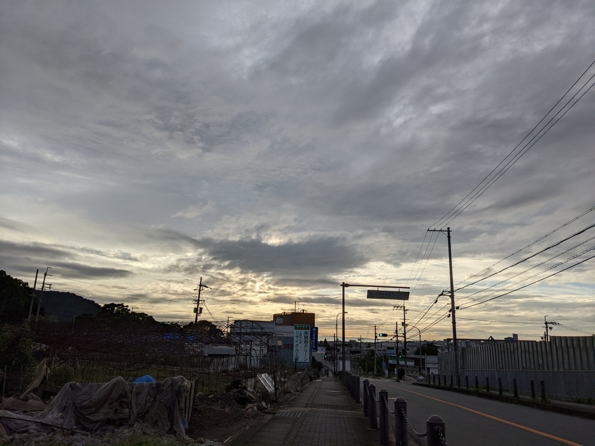 f:id:kinaco7272:20210822110711j:plain