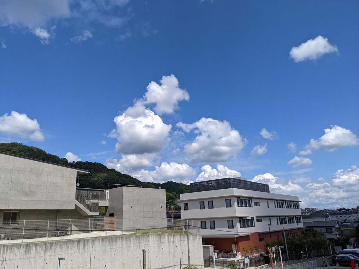 f:id:kinaco7272:20210905210352j:plain