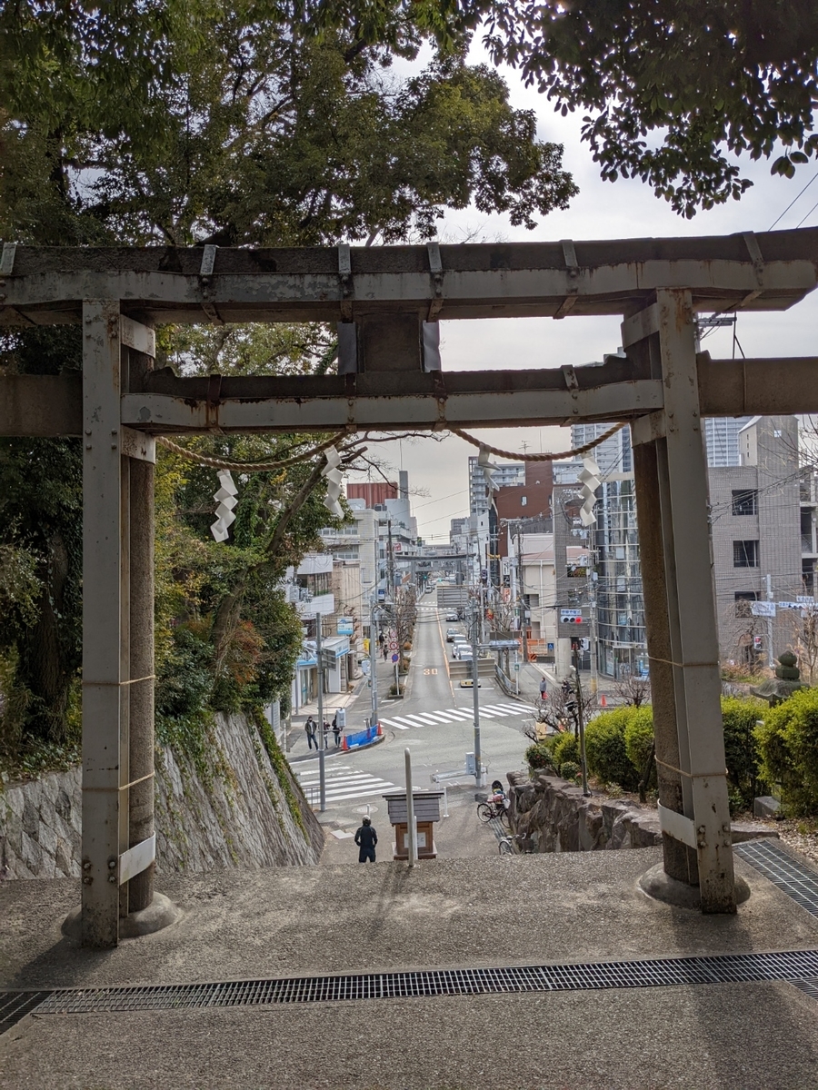 f:id:kinaco7272:20220111081509j:plain