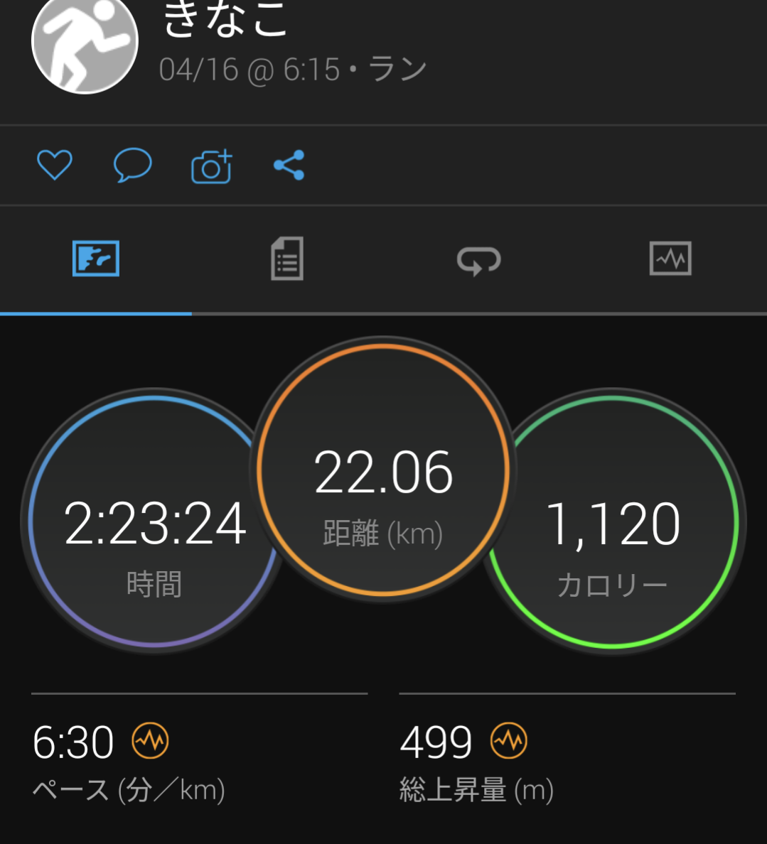 f:id:kinaco7272:20220417082338p:plain