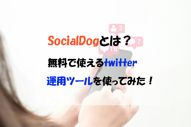 f:id:kinaco_ahiru:20191114161443j:plain