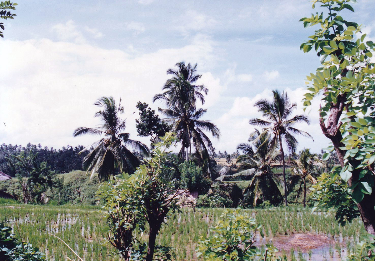f:id:kinacocantik:20200809145339j:plain