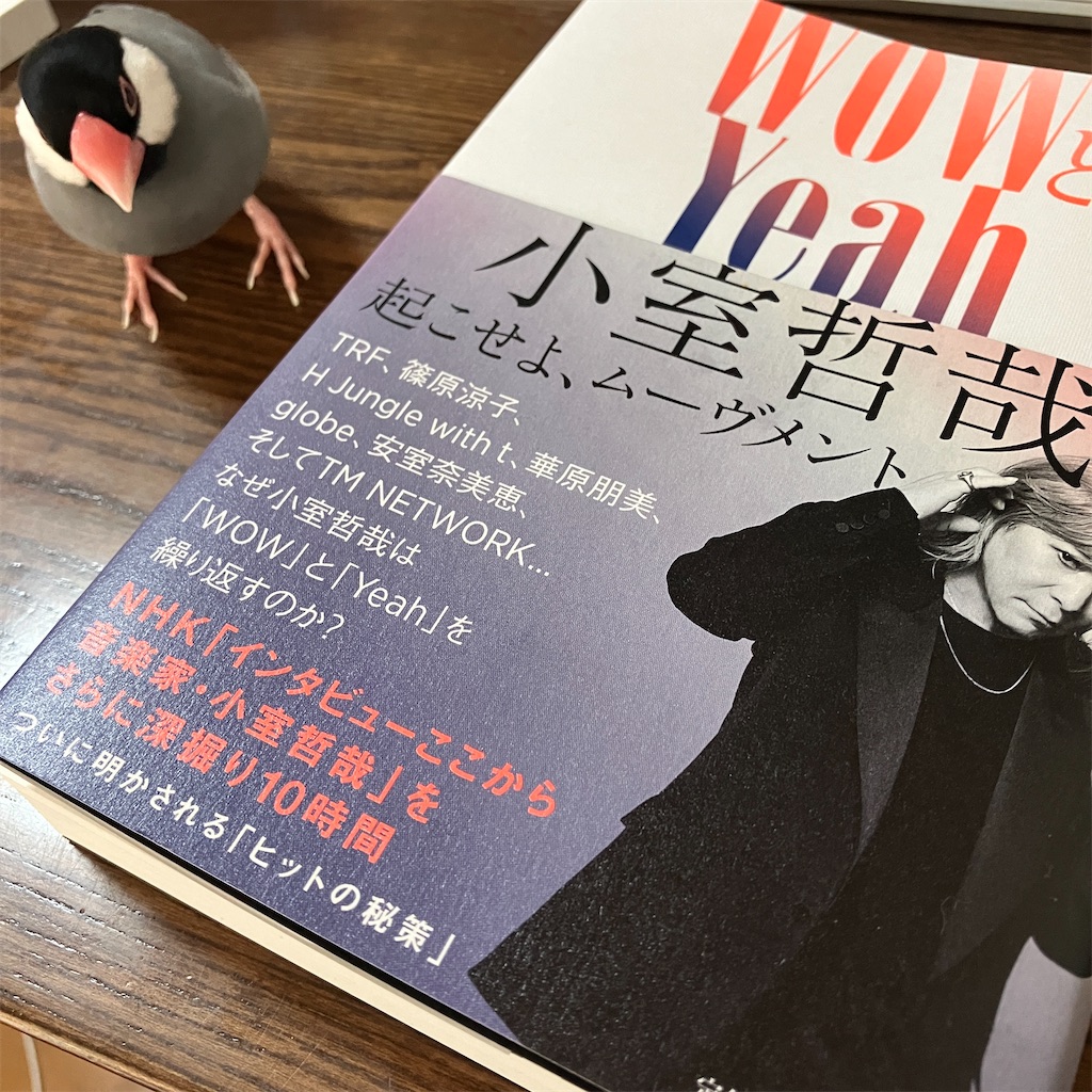 f:id:kinako-nejiri:20240530105438j:image