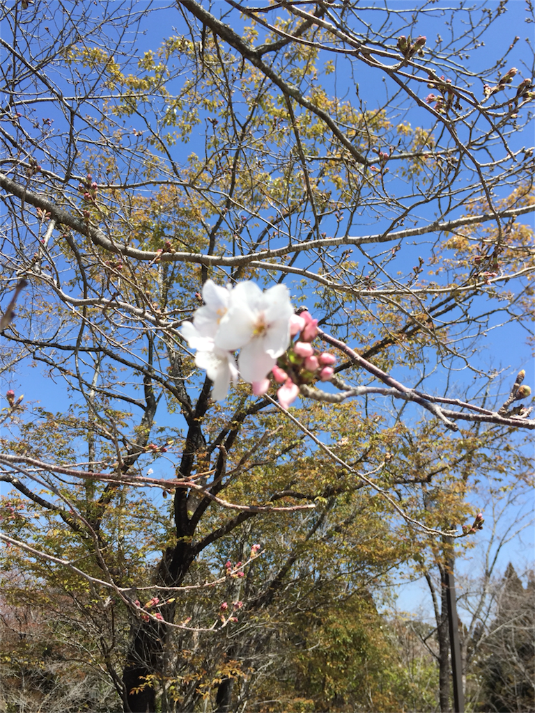 f:id:kinako-shifuku:20170404170358p:image f:id:kinako-shifuku:20170404170358p:image