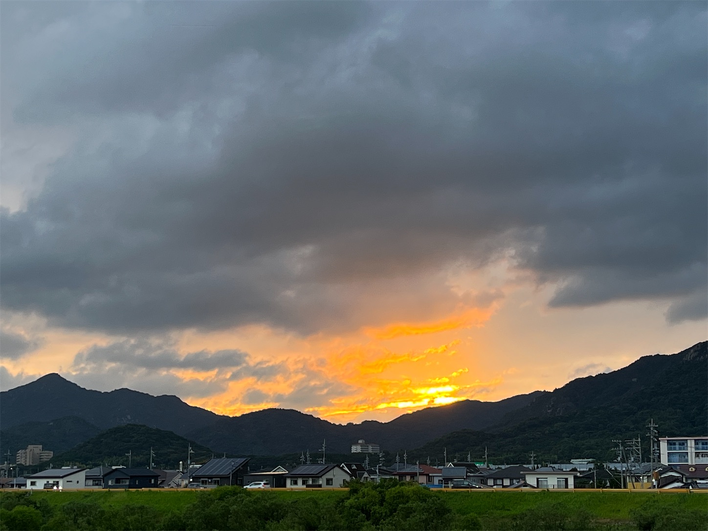 f:id:kinako07130106:20230818185724j:image