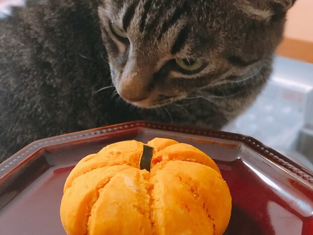 かぼちゃスコーンレシピ