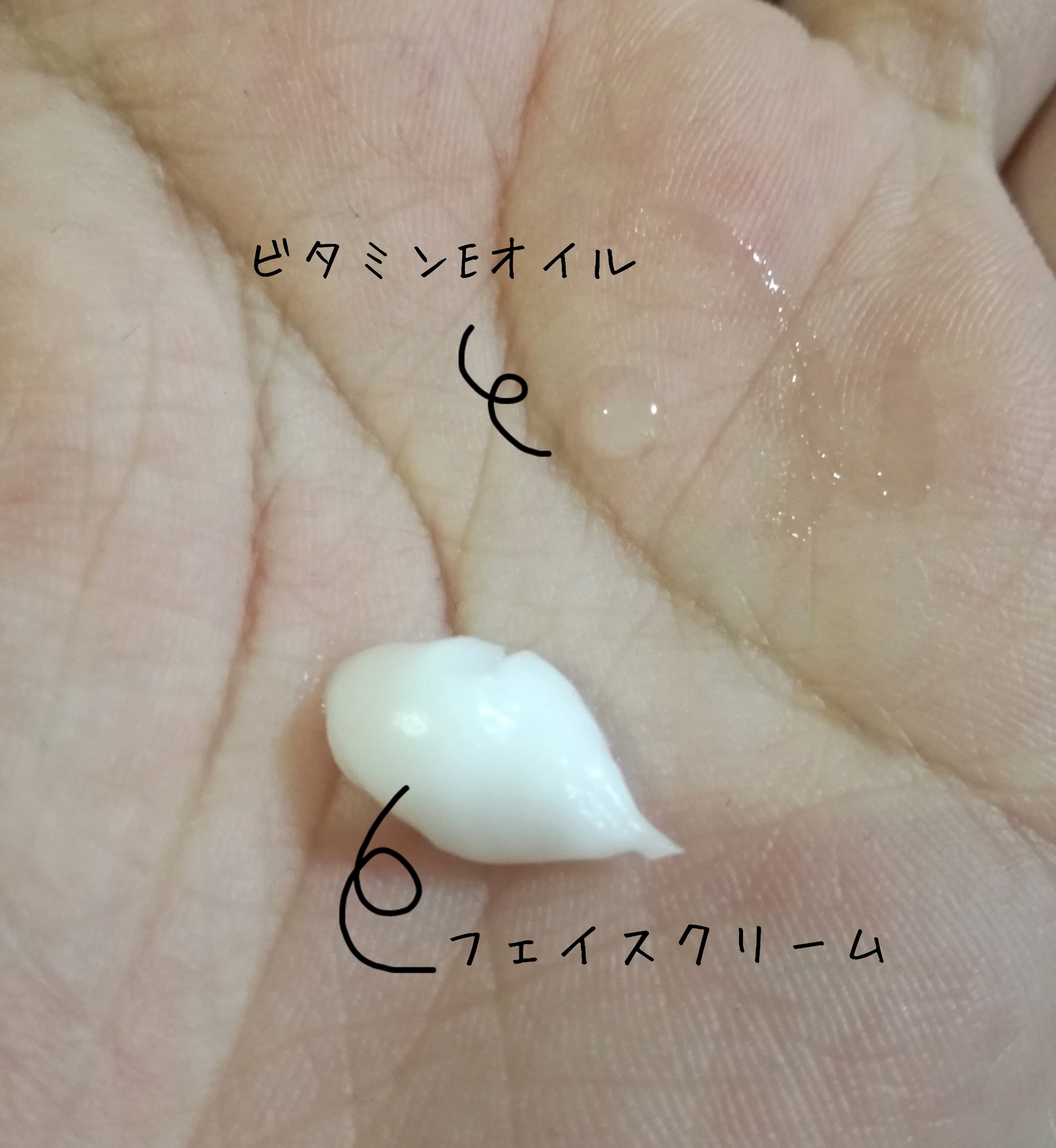 顔にも髪にも使える Iherbで購入できる万能ビタミンeオイルの使い方 きなこすめ