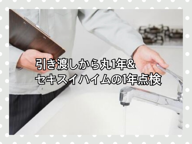 f:id:kinako_0128:20210718184216j:plain