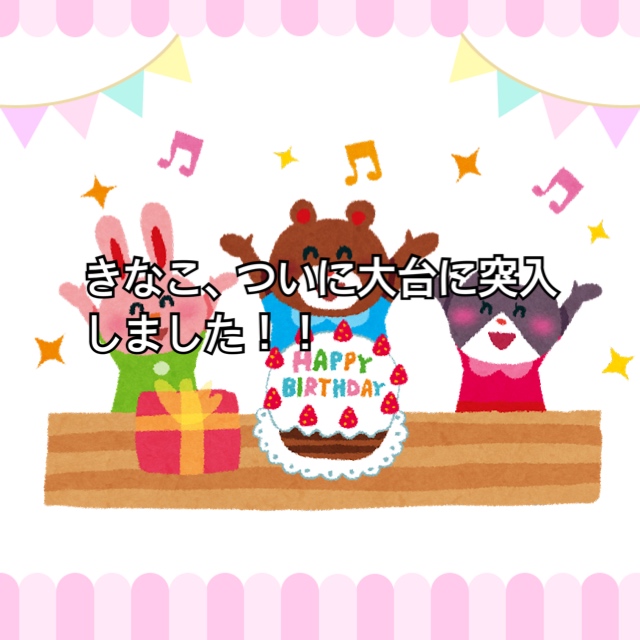 f:id:kinako_0128:20220223182117j:plain