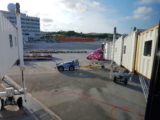 f:id:kinako_yuta:20160904140948j:image