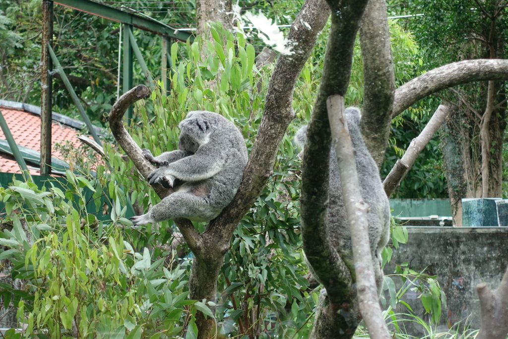 f:id:kinako_yuta:20161120210925j:plain f:id:kinako_yuta:20161120210925j:plain