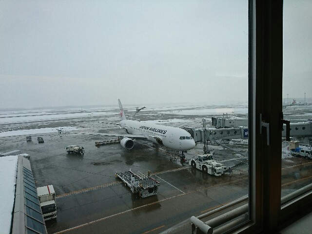 f:id:kinako_yuta:20170104150914j:image