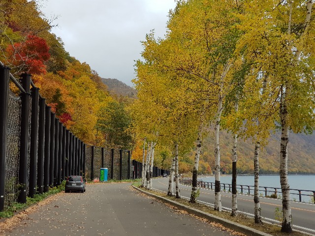 f:id:kinako_yuta:20171022203751j:image