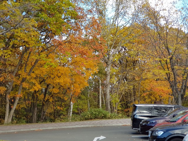 f:id:kinako_yuta:20171022203930j:image