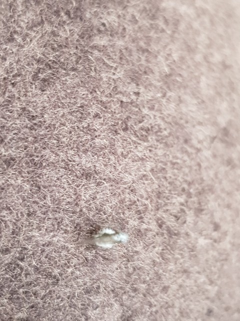 f:id:kinako_yuta:20171022204126j:image