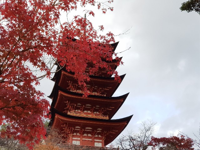 f:id:kinako_yuta:20171119203004j:image