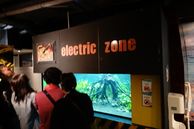 f:id:kinako_yuta:20180108202041j:image