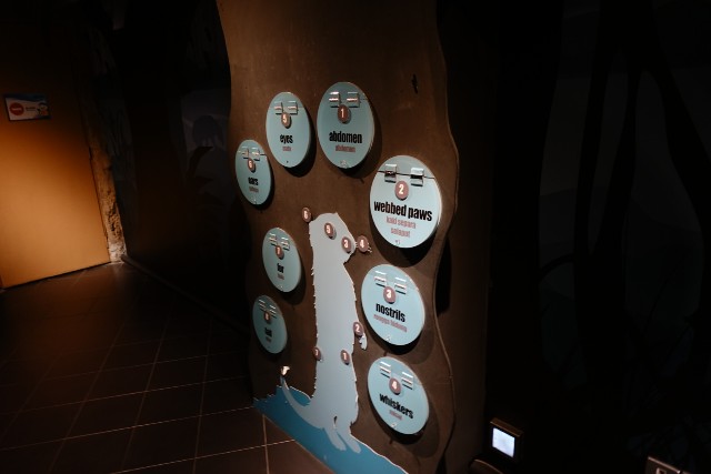 f:id:kinako_yuta:20180108202119j:image