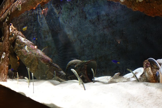 f:id:kinako_yuta:20180108202137j:image