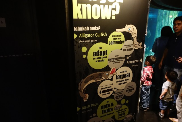 f:id:kinako_yuta:20180108202157j:image