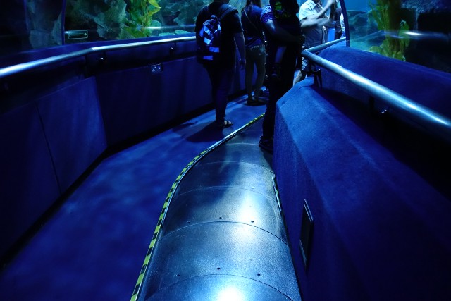 f:id:kinako_yuta:20180108202241j:image