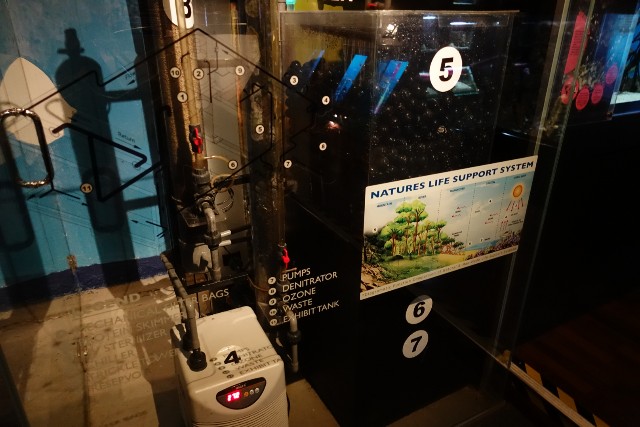 f:id:kinako_yuta:20180108202334j:image