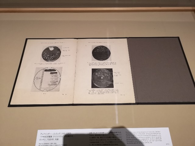 f:id:kinako_yuta:20180915190642j:image