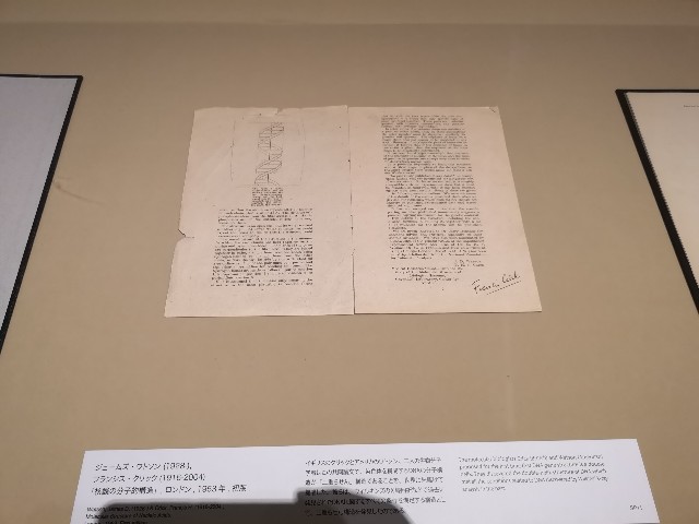 f:id:kinako_yuta:20180915190651j:image