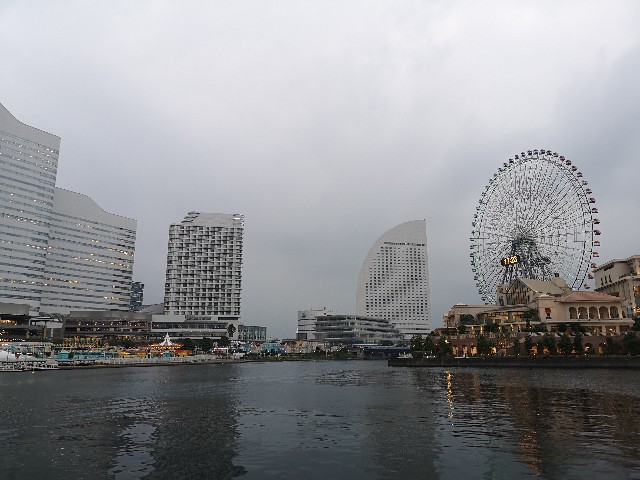 f:id:kinako_yuta:20180917201312j:image