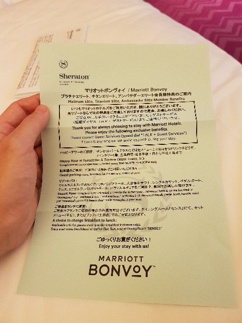 f:id:kinako_yuta:20190224170720j:image