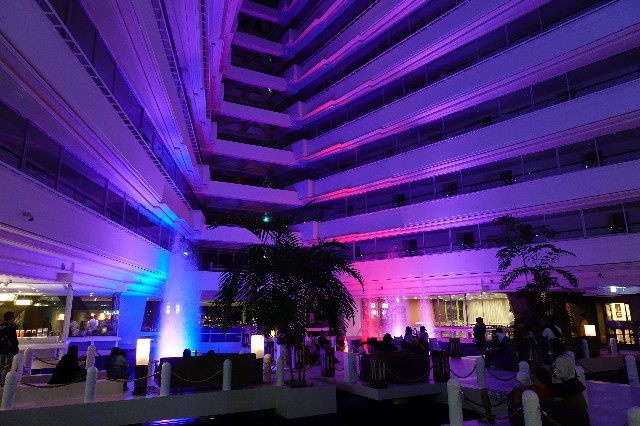 f:id:kinako_yuta:20190301115100j:image