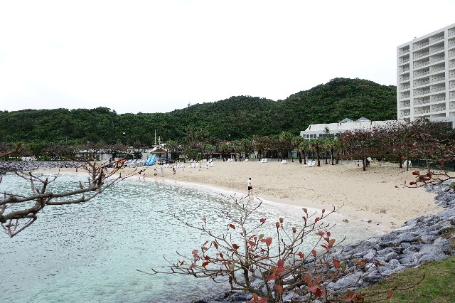 f:id:kinako_yuta:20190312074045j:image f:id:kinako_yuta:20190312074045j:image