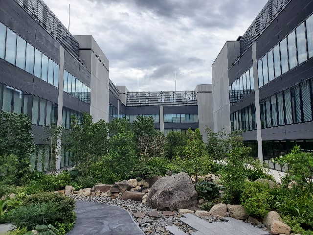 f:id:kinako_yuta:20200711161315j:image