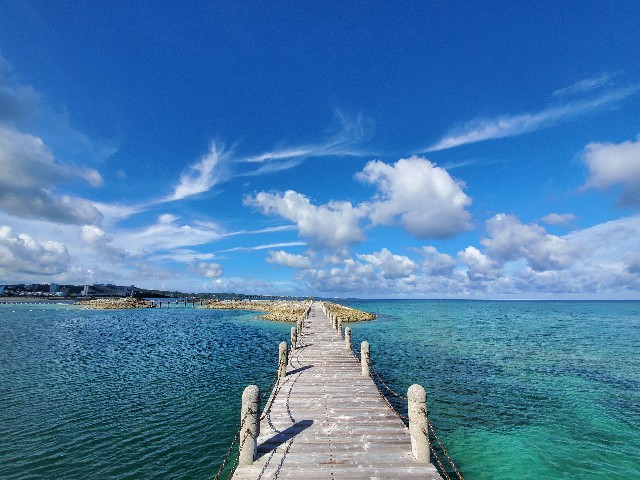 f:id:kinako_yuta:20200913092436j:image f:id:kinako_yuta:20200913092436j:image