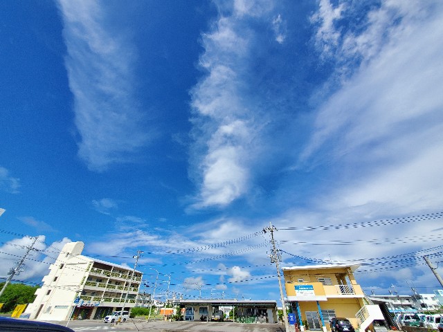 f:id:kinako_yuta:20200921163425j:image