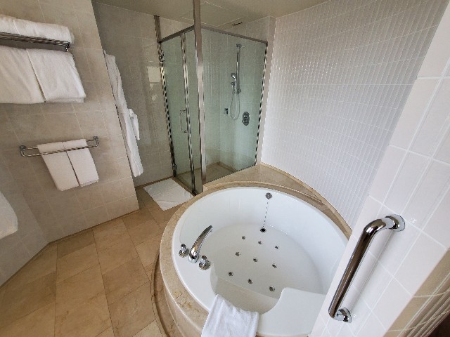 f:id:kinako_yuta:20201213100846j:image