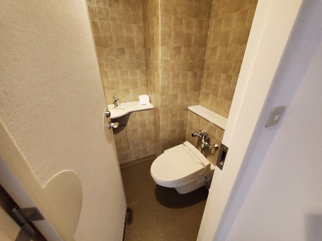 f:id:kinako_yuta:20201213100851j:image