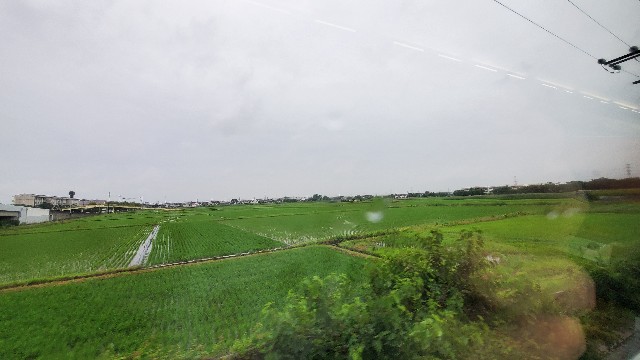 f:id:kinako_yuta:20210619082904j:image