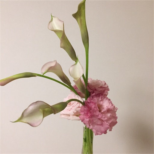 f:id:kinakobun:20180628002655j:image f:id:kinakobun:20180628002655j:image