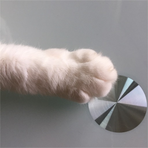 f:id:kinakobun:20190627160058j:image