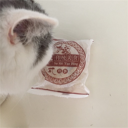f:id:kinakobun:20190627160359j:image