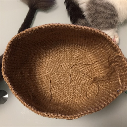 f:id:kinakobun:20190706223749j:image