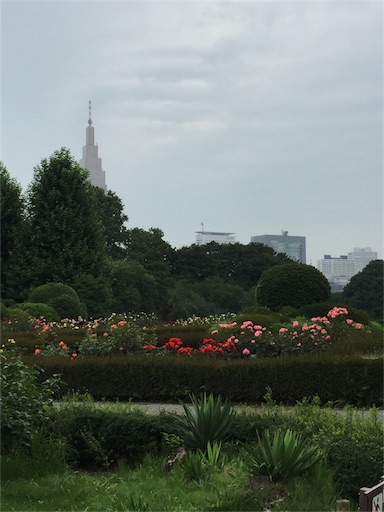 f:id:kinakobun:20190801182209j:image