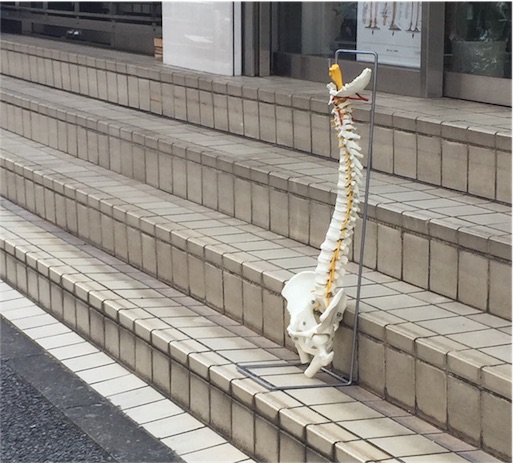f:id:kinakobun:20190801182855j:image