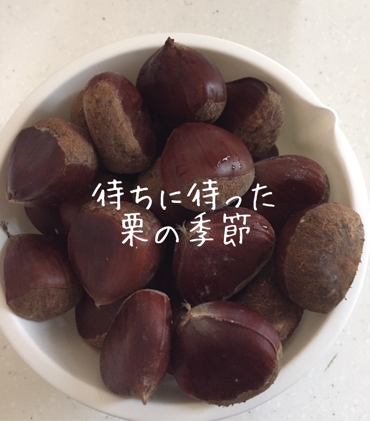 f:id:kinakoclub:20200920085907j:plain f:id:kinakoclub:20200920085907j:plain